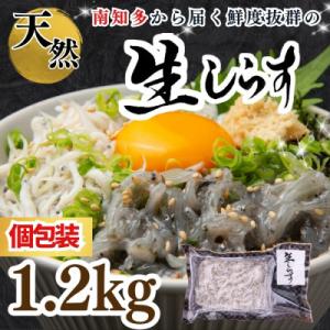 【南知多直送】天然生しらす 1.2kg(100g×12袋)純国産・お刺身＜岬だより＞