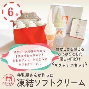 【卵・保存料不使用】牛乳屋さんが作ったアイスクリーム さっぱりミルク味の凍結ソフトクリーム|6個入り