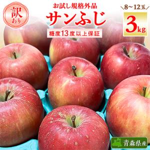 お試し 規格外品 糖度13度以上保証 りんご サンふじ 訳あり 【R7年りんご品評会最高賞】