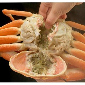 ふるさと納税 森町 【先行受付】【訳あり】浜茹...の詳細画像3