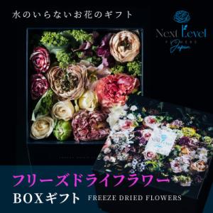 ふるさと納税 山形県 フリーズドライフラワー　BOXギフト「日本HANA」(山形県)