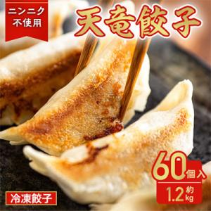 ふるさと納税 磐田市 天竜餃子　60個入り! 約1.2kg【ニンニク不使用】いつでも手軽に美味しく食...