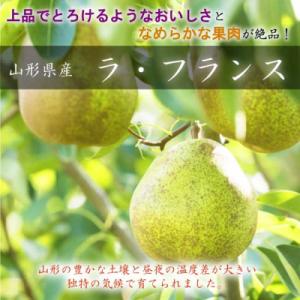 ふるさと納税 中山町 【令和6年産先行受付】山形県中山町産 大粒芳醇「ラ・フランス」3kg(6〜9玉...