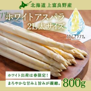 【2026年4月下旬以降発送】北海道上富良野産ホワイトアスパラガス2L800g