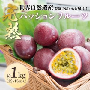 《奄美大島産パッションフルーツ》バラ詰め約1kg(12玉入り)