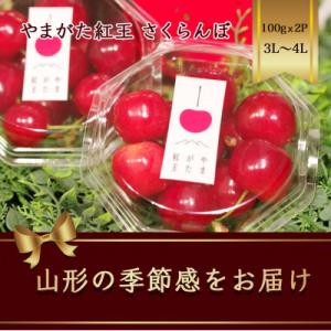 ふるさと納税 山形県 やまがた紅王 さくらんぼ 3L〜4L 100g×2パック入 【2024年6月から発送】