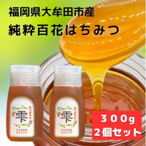 ふるさと納税 大牟田市 みつばちの雫　300g×2個セット　国産蜂蜜