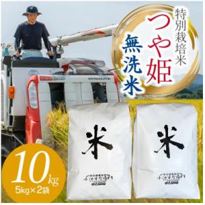 ふるさと納税 鶴岡市 【令和6年産】山形県庄内産 小池半左衛門のお米 特別栽培米 つや姫 無洗米 5kg×2袋 計10kg