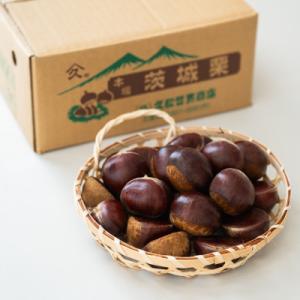 茨城県かすみがうら市産　熟成倉方栗(生栗)約2kg〈2026年11月中旬より順次発送予定〉