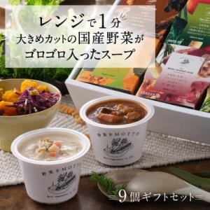 ふるさと納税 静岡市 野菜をMOTTO　国産野菜のレンジカップスープ　9個ギフトセット