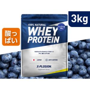 ふるさと納税 小山市 【ブルーベリー味】WPC 100%ナチュラルホエイプロテイン 3kg