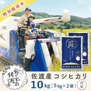佐渡島産コシヒカリ 白米10Kg(5Kg×2袋) 土屋農園 農家直送 令和7年産 特別栽培米