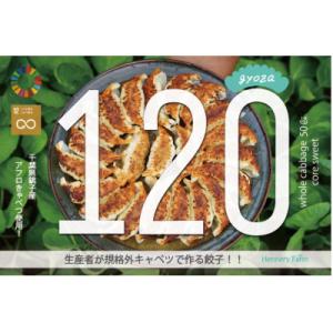 ふるさと納税 銚子市 子供が食べる!箸の止まらない美味しさ!アフロきゃべつ餃子 120個(30個入り×4袋)｜y-sf