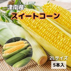 【新潟県 津南町産】朝取りスイートコーン 2Lサイズ 5本(1本約400g)