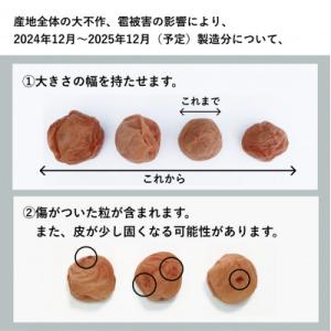 ふるさと納税 みなべ町 【無添加梅干し】天日塩...の詳細画像3