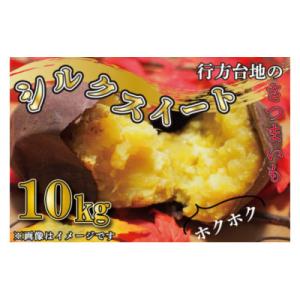 【先行受付】【訳あり】無選別　行方台地のさつまいも　シルクスイート10kg　CU-85-5