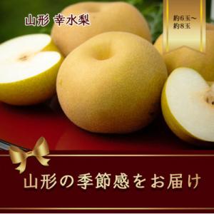 幸水梨　約6～約8玉 約2.5kg【令和8年発送先行予約】