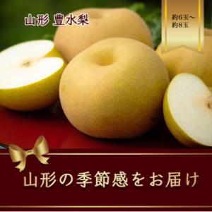 豊水梨　6～8玉　2.5kg【令和8年発送】