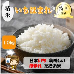 【令和7年産】いちほまれ 精米 5kg×2袋(計10kg)《お米マイスターが発送直前に精米!》