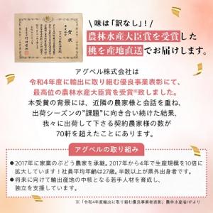 ふるさと納税 山梨市 【2026年発送】【訳あ...の詳細画像1