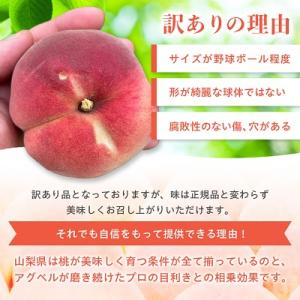 ふるさと納税 山梨市 【2026年発送】【訳あ...の詳細画像3