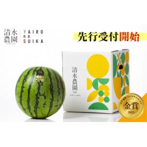 2026年7月下旬から発送予定　野菜ソムリエサミット金賞受賞「清水農園の八色産金色羅皇」