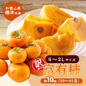 柳フルーツ園の訳あり富有柿 約10kg【2026年10月以降発送】