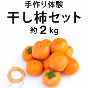 ふるさと納税 橋本市 【先行受付】柳フルーツ園 ...の商品画像