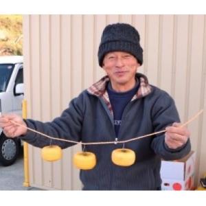 ふるさと納税 橋本市 【先行受付】柳フルーツ園...の詳細画像2