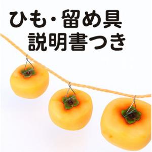 ふるさと納税 橋本市 【先行受付】柳フルーツ園...の詳細画像1