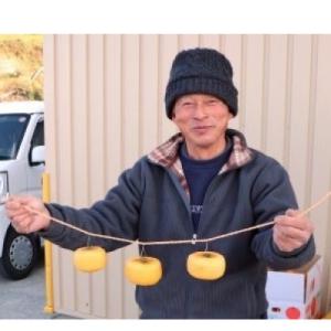 ふるさと納税 橋本市 【先行受付】柳フルーツ園...の詳細画像2