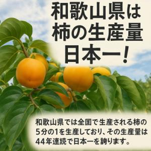 ふるさと納税 橋本市 【先行受付】柳フルーツ園...の詳細画像3