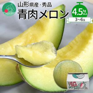 ふるさと納税 山形県 青肉メロン 4.5kg以上 (3〜6玉入り) ギフト 山形県産 [令和8年産 先行受付]