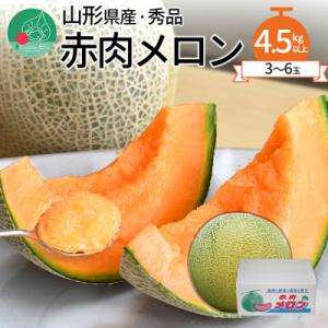 赤肉メロン 4.5kg以上 (3～6玉入り) 山形県産 ギフト 【令和8年産 先行受付】