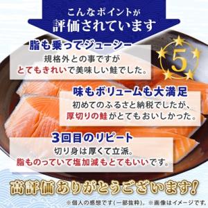 ふるさと納税 銚子市 【訳あり】塩銀鮭 厚切り...の詳細画像3