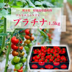 【特別栽培農産物】「ソムリエミニトマト　プラチナ1.5kg」約75～100玉