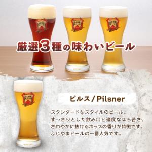 ふるさと納税 富士吉田市 地ビール(クラフトビ...の詳細画像1