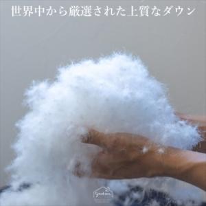 ふるさと納税 尼崎市 【グートン】羽毛布団カス...の詳細画像1
