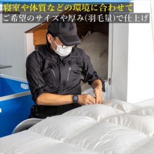 ふるさと納税 尼崎市 【グートン】羽毛布団カス...の詳細画像3