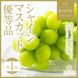 山梨県南アルプス市産　旬の採れたてシャインマスカット　優等品　ご家庭用　約1kg　2～3房