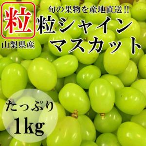 ふるさと納税 山梨市 山梨県山梨市産　シャインマスカット　粒　約1kg