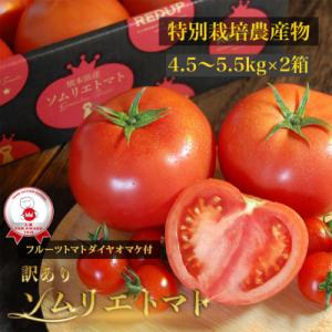 【特別栽培農産物】受賞歴3回!訳ありソムリエトマト4.5～5.5kg(18玉～36玉)×2箱