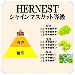 ふるさと納税 山梨市 2026年発送【訳あり】...の詳細画像1