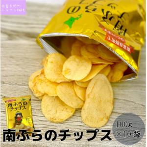 ふるさと納税 南富良野町 南ふらのチップス(うすしお味)100g×10袋