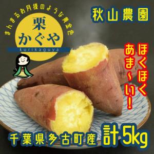 秋山農園から話題のさつまいも「栗かぐや(R)」5kg