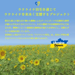 ふるさと納税 富士吉田市 【甲州羽毛2枚合わせ...の詳細画像1