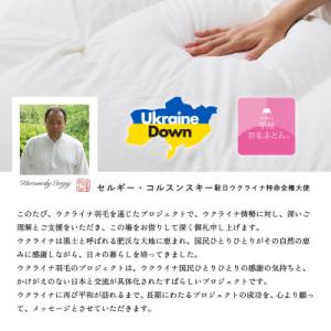 ふるさと納税 富士吉田市 【甲州羽毛2枚合わせ...の詳細画像2