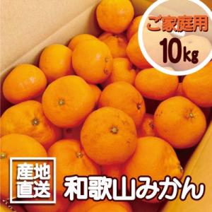 ふるさと納税 海南市 【訳あり】和歌山みかん 9.5kg+補償分500g　サイズ混合 11月より順次発送　訳ありみかん