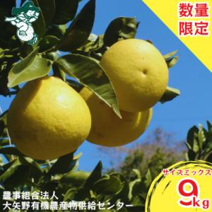 ふるさと納税 上天草市 【2026年2月下旬より順次発送】特別栽培パール柑(天草文旦) 9kg サイ...