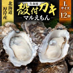 北海道厚岸町産 牡蠣 生食用 殻付カキ 「マルえもん」Lサイズ12個入り